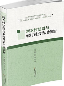 新农村建设与农村社会治理创新