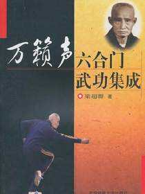 万籁声六合门武功集成