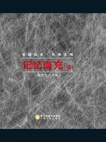 记忆南充（续）