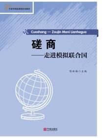 磋商：走进模拟联合国