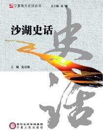 沙湖史话
