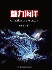 魅力海洋