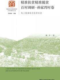 精准扶贫精准脱贫百村调研·孙家湾村卷：线上陇南助力扶贫攻坚