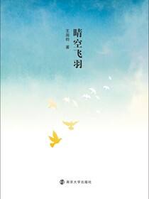晴空飞羽
