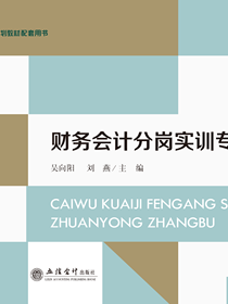 财务会计分岗实训专用账簿