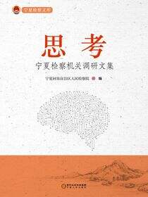 思考：宁夏检察机关调研文集
