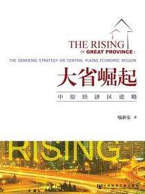 大省崛起：中原经济区论略