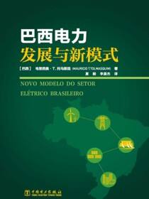 巴西电力发展与新模式