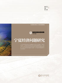 宁夏经济问题研究