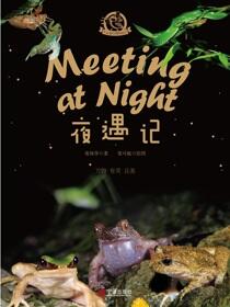 夜遇记