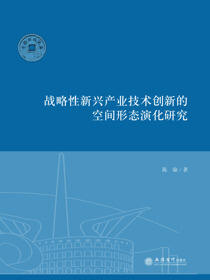 战略性新兴产业技术创新的空间形态演化研究