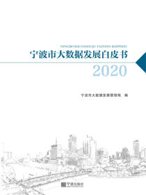 2020宁波市大数据发展白皮书