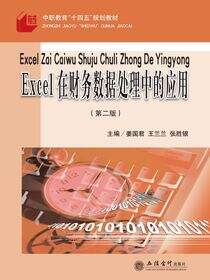 Excel在财务数据处理中的应用（第二版）