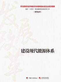 【经济思想系列丛书】建设现代能源体系