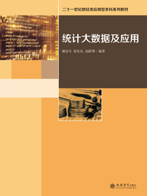 统计大数据及应用