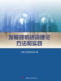 发展规划咨询理论方法和实践