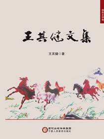 王其健文集·报告文学卷