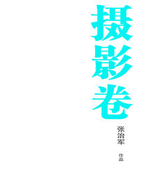 张治军作品