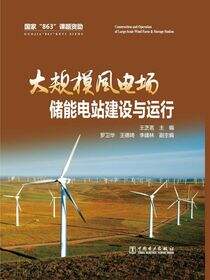 大规模风电场储能电站建设与运行