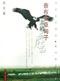 查布大草甸子上的鹰