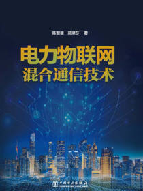 电力物联网混合通信技术