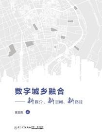 数字城乡融合：新媒介、新空间、新路径