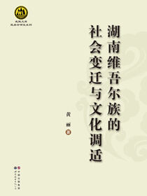 湖南维吾尔族的社会变迁与文化调适