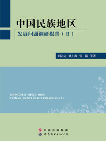 中国民族地区发展问题调研报告II