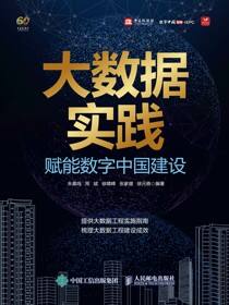 大数据实践：赋能数字中国建设