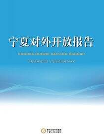 宁夏对外开放报告