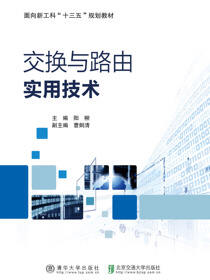交换与路由实用技术
