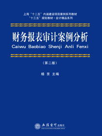 财务报表审计案例分析（第二版）
