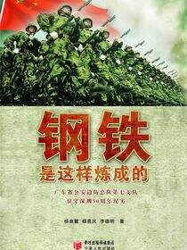 钢铁是这样炼成的：广东省公安边防总队第七支队守卫深圳30周年纪实