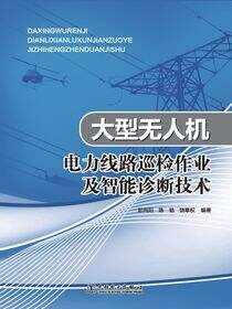 大型无人机电力线路巡检作业及智能诊断技术