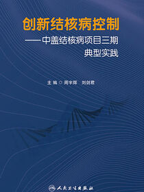 创新结核病控制——中盖结核病项目三期典型实践