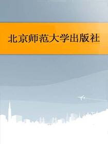 刑事政策与刑法完善