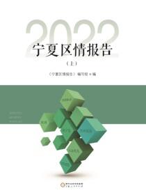 宁夏区情报告.2022上