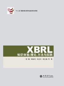 XBRL知识体验