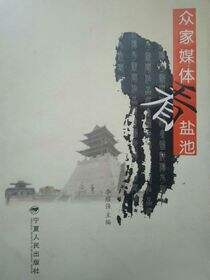 众家媒体看盐池