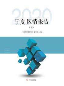 宁夏区情报告.2020.下