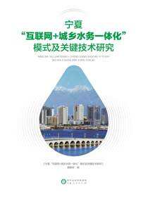宁夏“互联网+城乡水务一体化”模式及关键技术研究