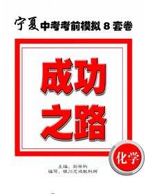 成功之路宁夏中考考前模拟8套卷.化学