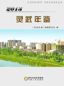 灵武年鉴．2013