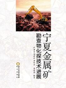 宁夏金属矿勘查物化探技术进展