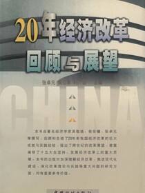 20年经济改革：回顾与展望