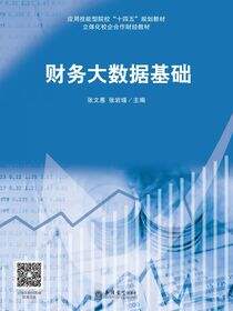 财务大数据基础