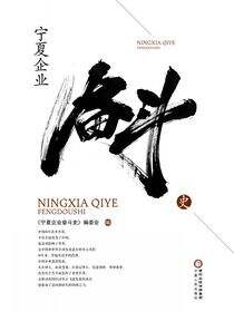 宁夏企业奋斗史