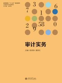 审计实务