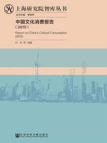 中国文化消费报告（2015）
