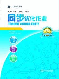 同步优化作业.九年级化学.上：人教版